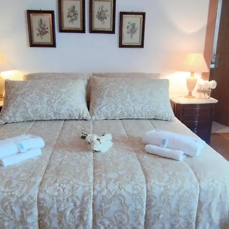 Moradia 3 Quartos Com Piscina Partilhada No Geres Canicada Braga Vieira do Minho